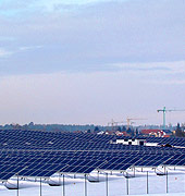Wirtschaft