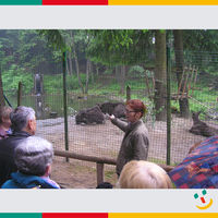Bild vergrern: Seniorenprogramm: Fahrt in den Bayerwald-Tierpark Lohberg 2