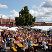 Bild vergrößern: Bürgerfest Maxhütte-Haidhof 2017 (28)