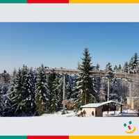 Bild vergrern: Von der Aussichtsplattform in 30 Meter Hhe genoss die Reisegruppe einen wunderbaren Ausblick ber den Bayerischen Wald.