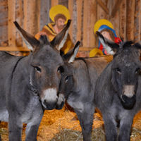 Bild vergr&ouml;&szlig;ern: Weihnachtsmarkt 2017