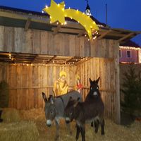 Bild vergr&ouml;&szlig;ern: 20181215_163559