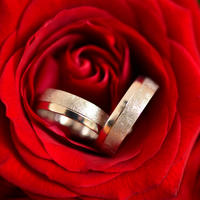 Bild vergrößern: Ringe in Rose