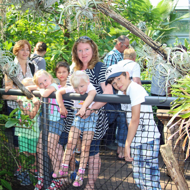 Zoo1
