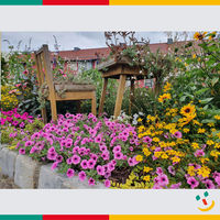 Bild vergr��ern: Es gr�nt und bl�ht bunt und farbenfroh in der Stadt