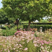 Bild vergr��ern: Blumenbeet beim Kreuz in Ponholz