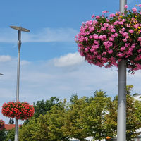 Bild vergr��ern: Laternen mit Blumenampeln geschm�ckt an der Maximilian-Grundschule