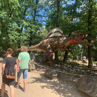 Bild vergrößern: Dank der Ferienprogramm-Betreuer konnten die Kinder und Jugendlichen unter anderem an einer Fahrt in den Dinopark und Zoo Pilsen teilnehmen.