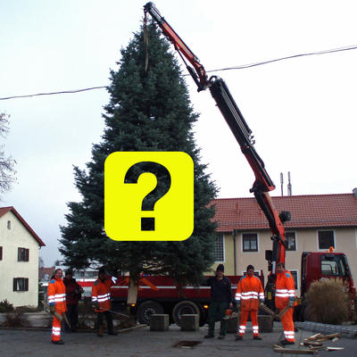 Bild vergrern: Weihnachtsbaum gesucht!