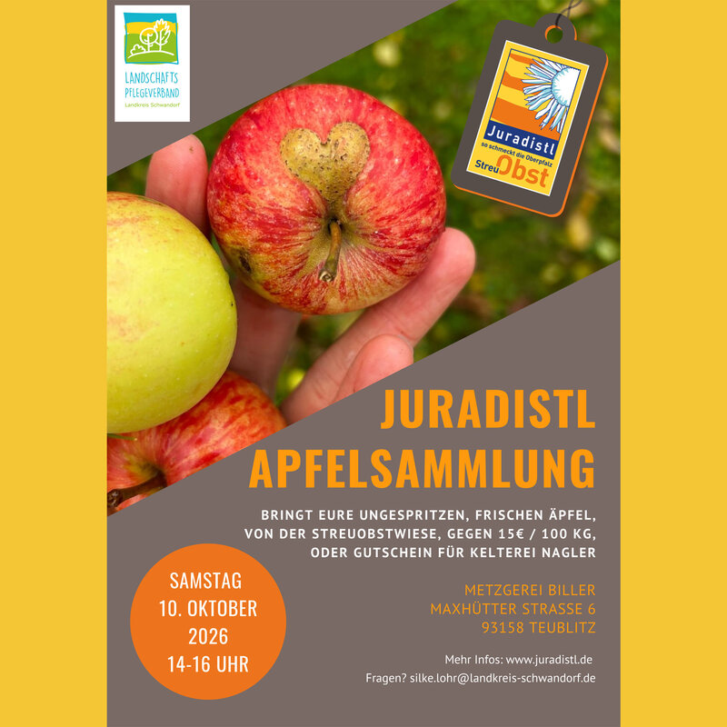 Apfelsammlung Juradistl 2026, Plakat