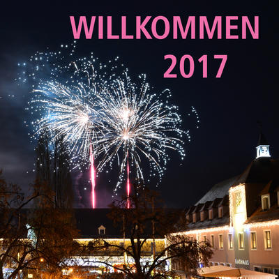 Bild vergr&ouml;&szlig;ern: Gutes neues Jahr 2017